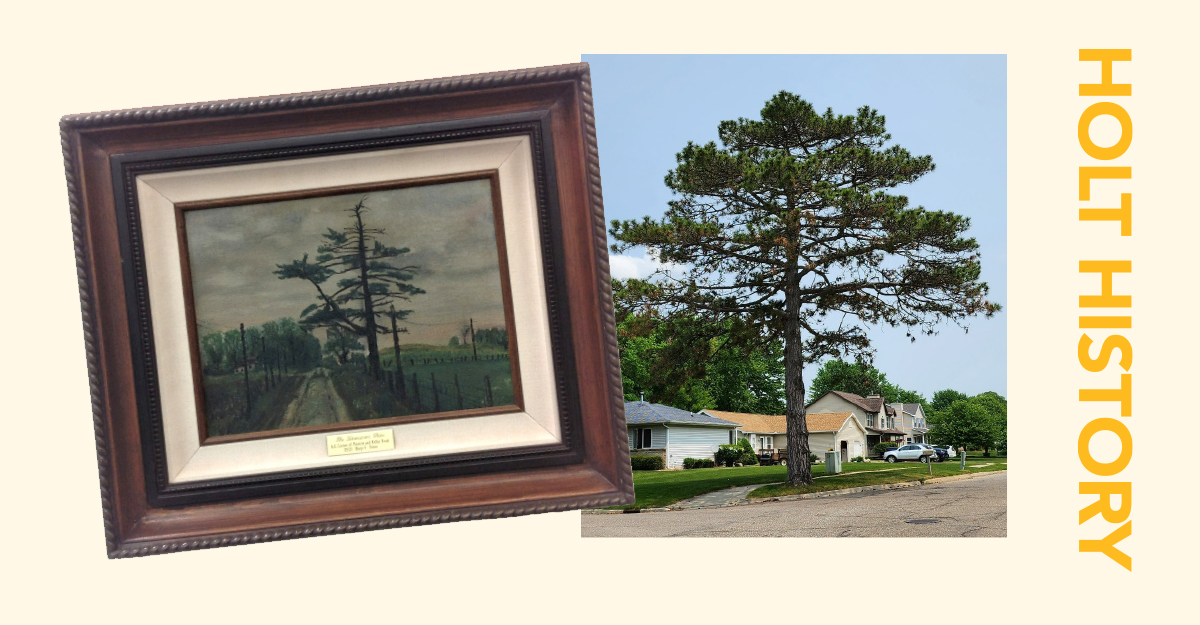 Holt History: Pine Tree Road